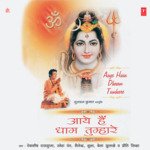 Aaye Hain Dhaam Tumhare - Bela Sulakhe Song Download
